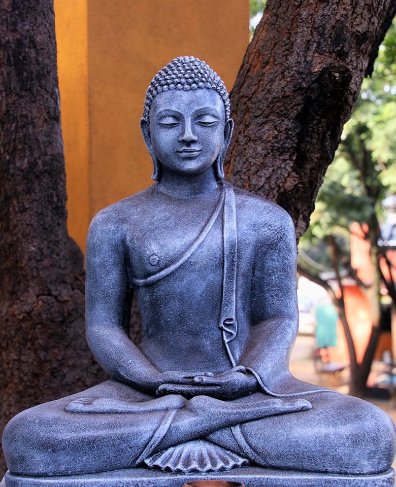 This image for Image Layouts addon